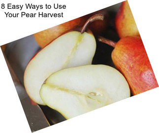 8 Easy Ways to Use Your Pear Harvest