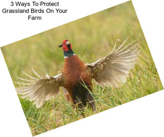 3 Ways To Protect Grassland Birds On Your Farm