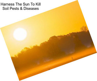 Harness The Sun To Kill Soil Pests & Diseases