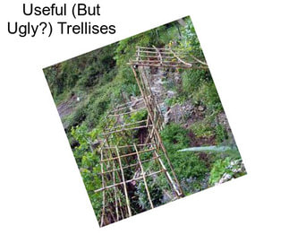 Useful (But Ugly?) Trellises