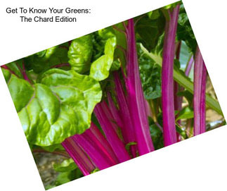 Get To Know Your Greens: The Chard Edition