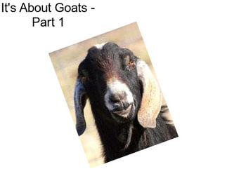 It\'s About Goats - Part 1