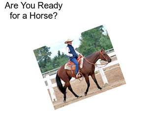 Are You Ready for a Horse?