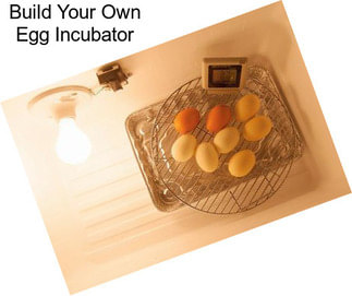 Build Your Own Egg Incubator