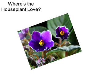 Where\'s the Houseplant Love?