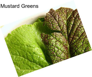 Mustard Greens