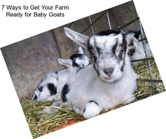 7 Ways to Get Your Farm Ready for Baby Goats