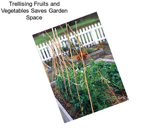 Trellising Fruits and Vegetables Saves Garden Space