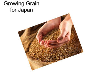 Growing Grain for Japan