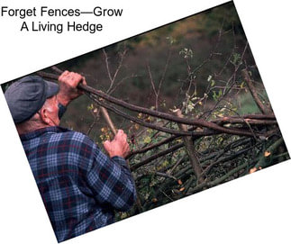 Forget Fences—Grow A Living Hedge