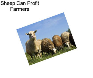 Sheep Can Profit Farmers