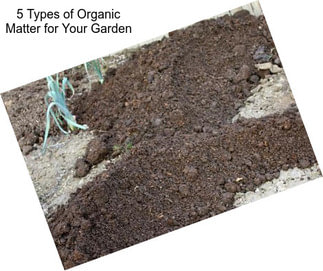 5 Types of Organic Matter for Your Garden