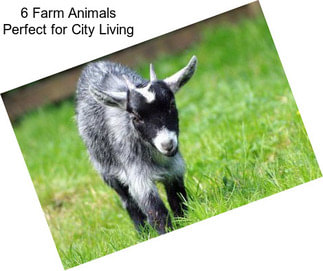 6 Farm Animals Perfect for City Living