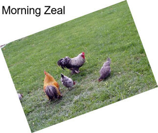 Morning Zeal