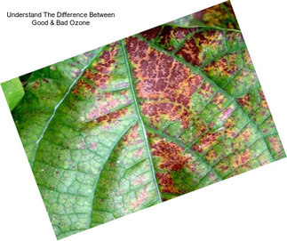 Understand The Difference Between Good & Bad Ozone