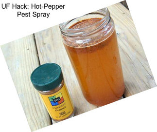 UF Hack: Hot-Pepper Pest Spray