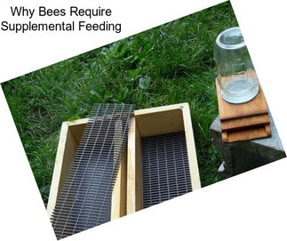 Why Bees Require Supplemental Feeding