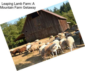 Leaping Lamb Farm: A Mountain Farm Getaway