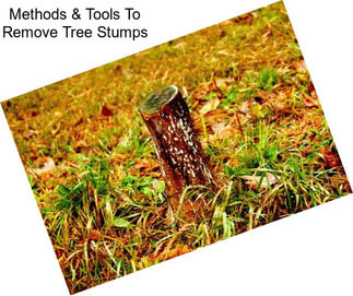 Methods & Tools To Remove Tree Stumps