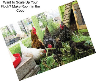 Want to Scale Up Your Flock? Make Room in the Coop