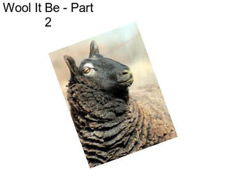 Wool It Be - Part 2