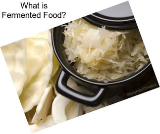 What is Fermented Food?