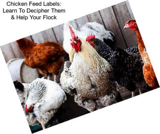 Chicken Feed Labels: Learn To Decipher Them & Help Your Flock