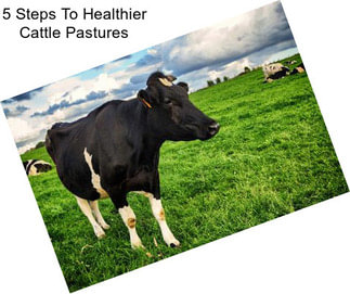 5 Steps To Healthier Cattle Pastures