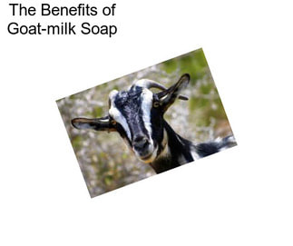 The Benefits of Goat-milk Soap