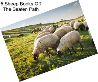 5 Sheep Books Off The Beaten Path