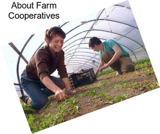 About Farm Cooperatives