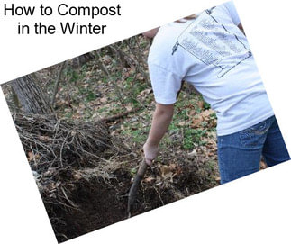 How to Compost in the Winter