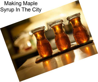 Making Maple Syrup In The City