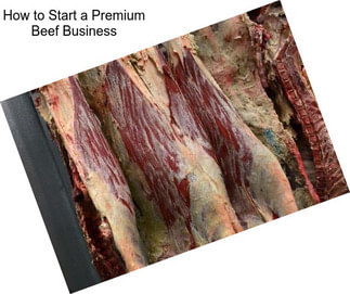 How to Start a Premium Beef Business