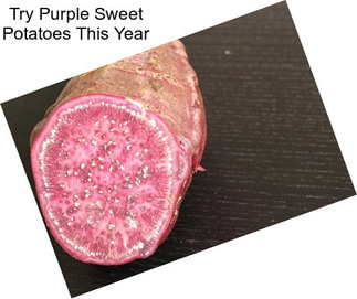 Try Purple Sweet Potatoes This Year