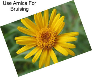 Use Arnica For Bruising