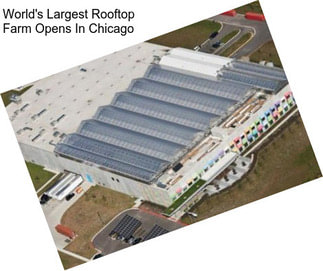 World\'s Largest Rooftop Farm Opens In Chicago