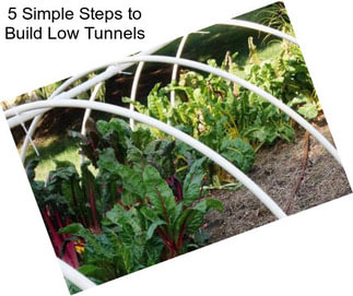 5 Simple Steps to Build Low Tunnels