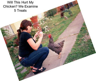 Will This Hurt My Chicken? We Examine 5 Treats