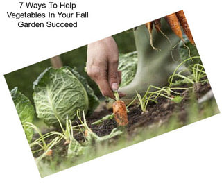 7 Ways To Help Vegetables In Your Fall Garden Succeed