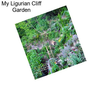 My Ligurian Cliff Garden