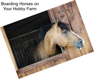 Boarding Horses on Your Hobby Farm