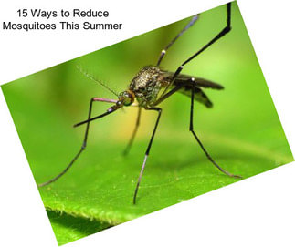 15 Ways to Reduce Mosquitoes This Summer