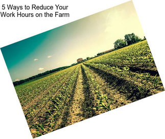 5 Ways to Reduce Your Work Hours on the Farm
