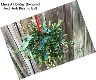 Make A Holiday Boxwood And Herb Kissing Ball