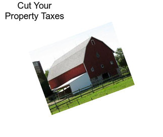 Cut Your Property Taxes