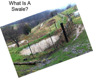 What Is A Swale?