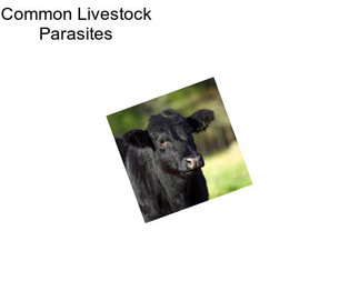 Common Livestock Parasites