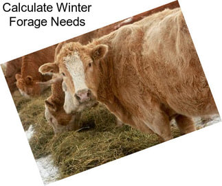 Calculate Winter Forage Needs