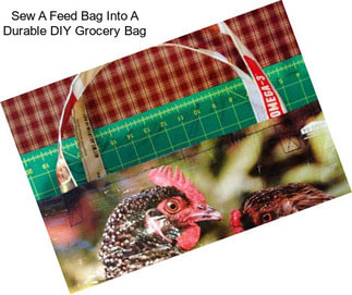 Sew A Feed Bag Into A Durable DIY Grocery Bag